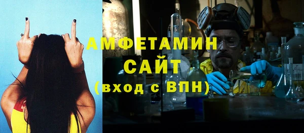индика Абаза