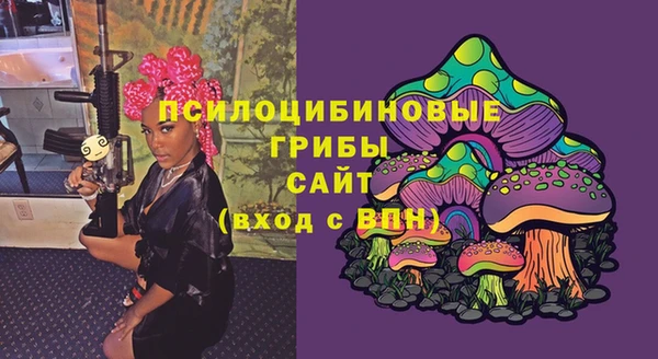 стафф Армянск