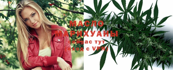 соль ск Алексин