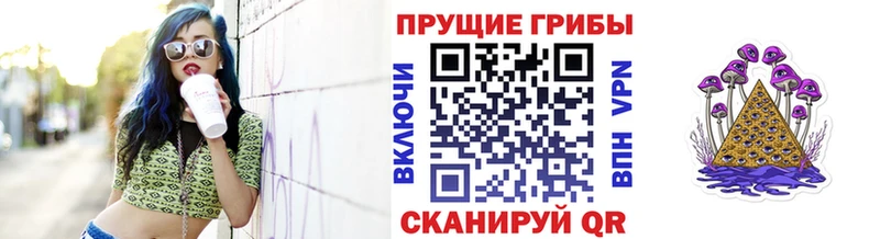 MEGA зеркало  где купить наркоту  Инсар  Галлюциногенные грибы прущие грибы 